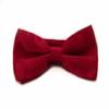 Soophen Solid Color Banded bowtie - Wine view 1