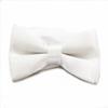 Soophen Solid Color Banded bowtie - White view 1