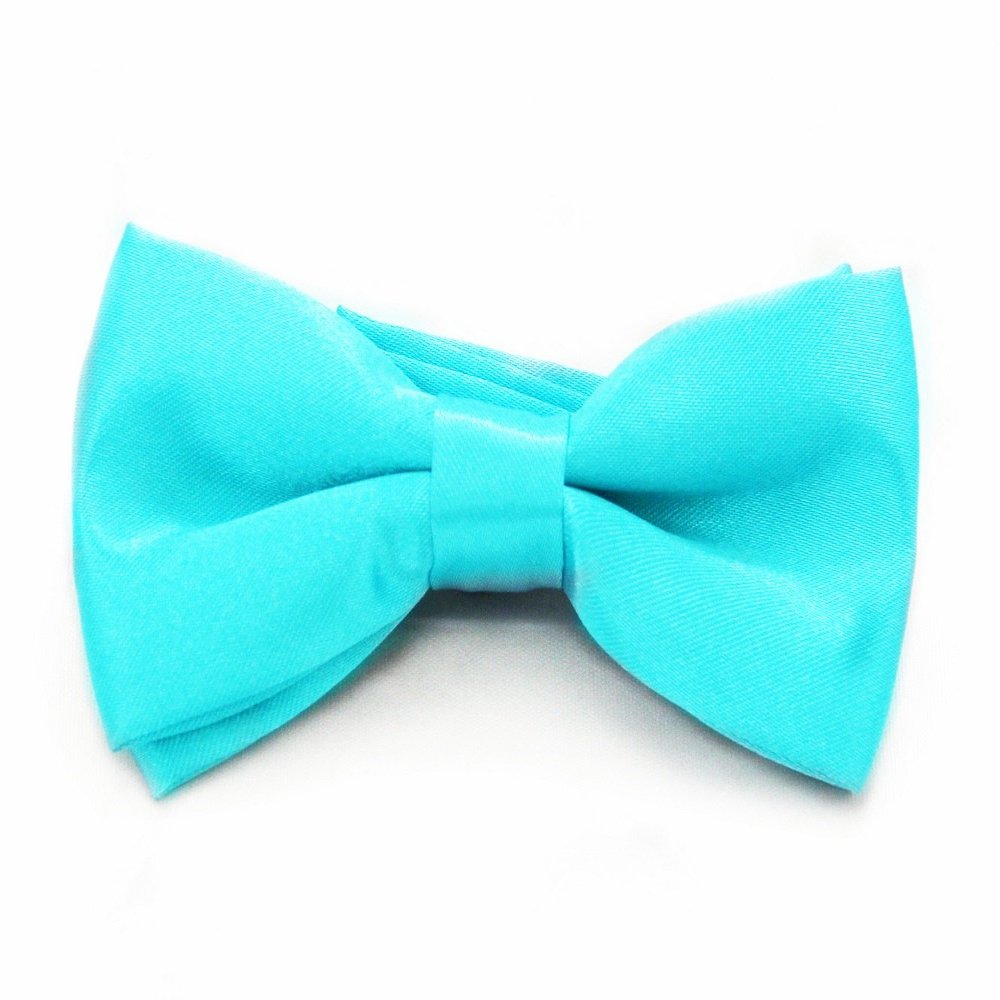 Soophen Solid Color Banded bowtie - Tourquoise