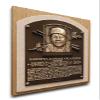 That's My Ticket MLB Toronto Blue Jays Roberto Alomar Baseball Hall of Fame Plaque on Canvas, Medium, Brown view 1