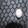 Select Golf Barrier Netting (15x150) view 3