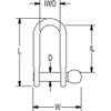Ronstan RF1806 Standard Dee Shackle - 4.0mm [5/32] Pin view 2