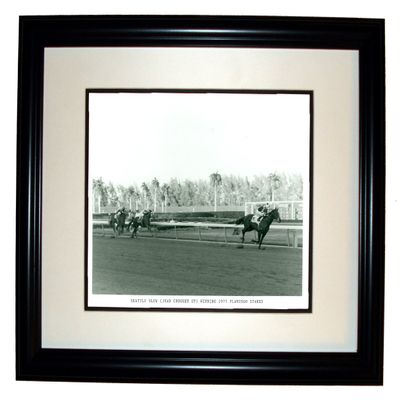 Collectiblia Triple Crown Winner Seattle Slew 8x10 Photo in an 11x14 Black Frame