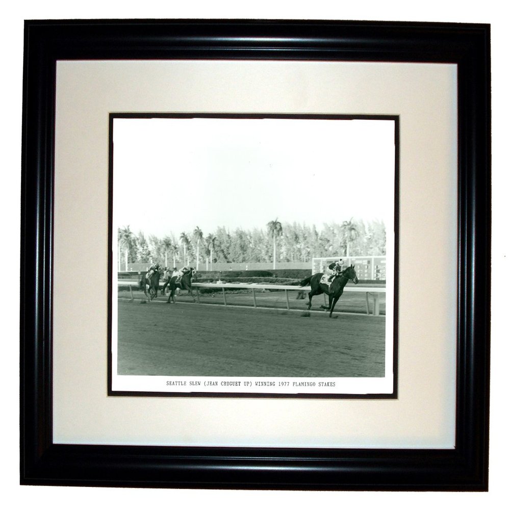Collectiblia Triple Crown Winner Seattle Slew 8x10 Photo in an 11x14 Black Frame
