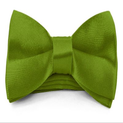 Moda Di Raza Boys Bowtie Pre-Tied Satin Formal Tuxedo Bowtie Adjustable Length Satin Kids Bow Tie - Apple Green Bow Tie One Size [Paperback]