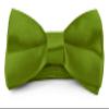 Moda Di Raza Boys Bowtie Pre-Tied Satin Formal Tuxedo Bowtie Adjustable Length Satin Kids Bow Tie - Apple Green Bow Tie One Size [Paperback] view 1
