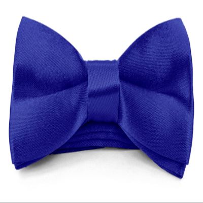 Moda Di Raza Boys Bowtie Pre-Tied Satin Formal Tuxedo Bowtie Adjustable Length Satin Kids Bow Tie - RoyalBlue One Size Bow Ties