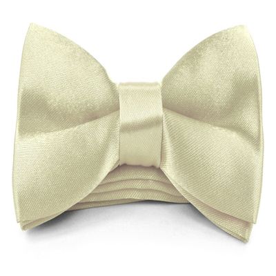 Moda Di Raza - Boy/Men's Bow Tie Pre Tied 4x2 inch Formal Casual BowTies - Ivory Bowtie