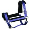 Gatsby Nylon Halter/Removable Fleece Horse Royal view 1