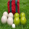 BuyBocceBalls Listing - Made in USA, Premium Quality Tournament Bocce Set - 110mm Lime Green and White Balls, Nylon Maroon Bag, 998 Grams (2 lbs. 3.2 oz.). Various Bag Colors view 2