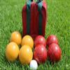 BuyBocceBalls Listing - Made in USA, Premium Quality Tournament Bocce Set - 110mm Gold and Red Balls, Nylon Maroon Bag, 998 Grams (2 lbs. 3.2 oz.). Various Bag Colors view 1