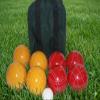 BuyBocceBalls Listing - Made in USA, Premium Quality Tournament Bocce Set - 110mm Gold and Red Balls, Nylon Green/Black Bag, 998 Grams (2 lbs. 3.2 oz.). Various Bag Colors view 2