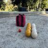 BuyBocceBalls Listing - Made in USA, Premium Quality Tournament Bocce Set - 110mm Gold and White Balls, Nylon Maroon Bag, 998 Grams (2 lbs. 3.2 oz.). Various Bag Colors view 1