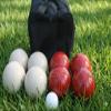 BuyBocceBalls Listing - Made in USA, Premium Quality Tournament Bocce Set - 110mm White and Red Balls, Nylon Black Bag, 998 Grams (2 lbs. 3.2 oz.). Various Bag Colors view 1