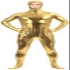 VSVO Shiny Spandex Open Face Full Bodysuit Zentai Suit for Adults and Children (Large, Gold) view 2