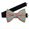 EmilyRose Couture Men's Stripes Bow Ties (Adult (12 or older), Rainbow Stripes) view 1