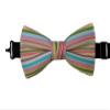 EmilyRose Couture Men's Stripes Bow Ties (Adult (12 or older), Rainbow Stripes) view 2