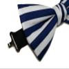 EmilyRose Couture Men's Stripes Bow Ties (Medium (6-12 Years of Age), Blue & White) view 2