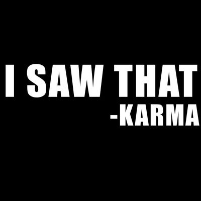 Funny I Saw That Karma Vinyl Sticker Car Decal (8" White)