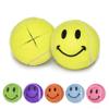 AMP Pre-Cut Walker Glide Balls - 15 Colors & Styles (Smiley - Yellow) view 1