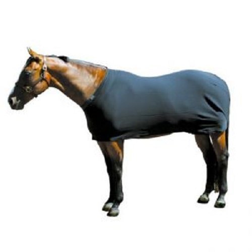 Sleazy Sleepwear Solid Mini Miniature Teal Sleazy Sheet with Seams On Outside (Small 38"-42")