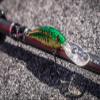 Berkley Flicker Minnow Fishing Lure, Slick Firetiger, 1/2 oz, 4 1/2in | 11cm Crankbaits, Realistic Minnow Profile, Sharp Dive Curve Gets to Fish Quickly, Equipped with Fusion19 Hook, 8 view 3