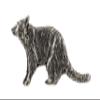 Raccoon Pin, Pewter, M172, 2 Inches, Handmade in the USA, Realistic, Trash Panda, Coon, Hat Pin, Lapel Pins, Brooch, Gift, Over 3100 Wildlife Designs. view 1