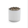 1/4" Drive 12 Point Standard Socket - 9/32" view 1