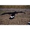 Wingbeat Canada Goose Power Flapper view 1