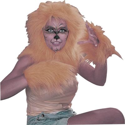 Rubie's Costume Co Cats Accessory Pak Costume, Gold, Gold