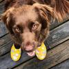 Sloggers Original Waterproof Rain and Garden Shoe for Women Outdoor Slip-On Garden Clog - Made in The USA with Premium Comfort Insole and Arch Support - Chickens Daffodil Yellow, Size 8 view 2