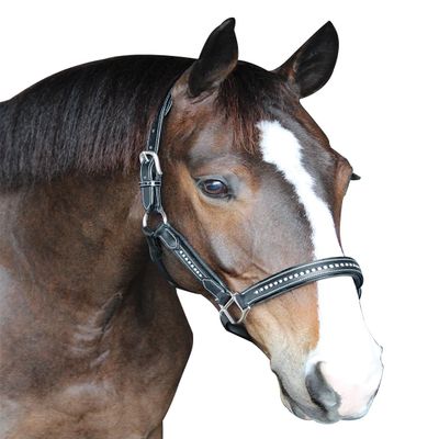 Henri de Rivel HDR Padded Crystal Halter Pony Black