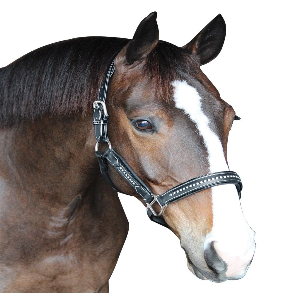 Henri de Rivel HDR Padded Crystal Halter Pony Black