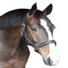 Henri de Rivel HDR Padded Crystal Halter Pony Black view 1