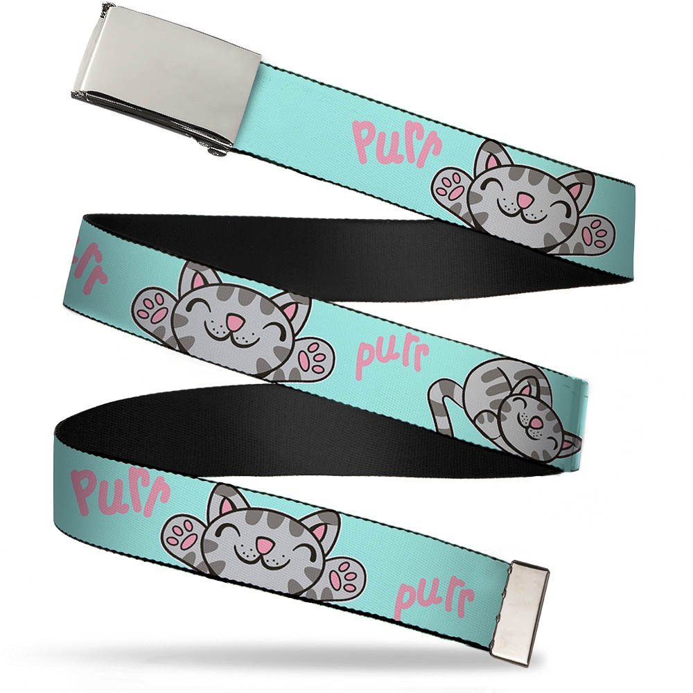 Buckle-Down Web Belt The Big Bang Theory1.0