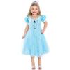 Rubie's Costume Co Sapphire Princess Costume, Toddler, Toddler view 1