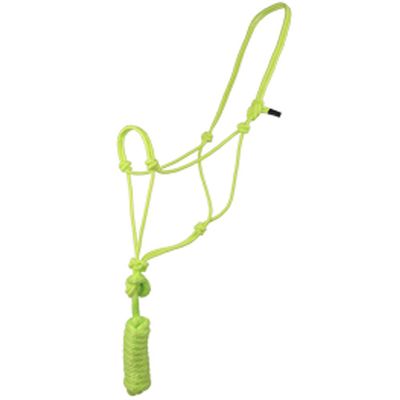 Aime Imports Basic Poly Rope Halter w/Lead Lime