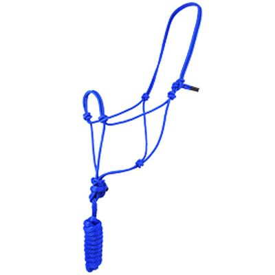 Aime Imports Basic Poly Rope Halter w/Lead Blue