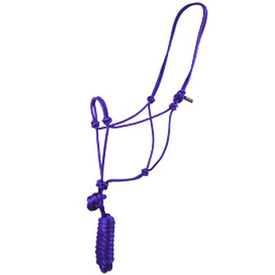 Aime Imports Basic Poly Rope Halter w/Lead Purple