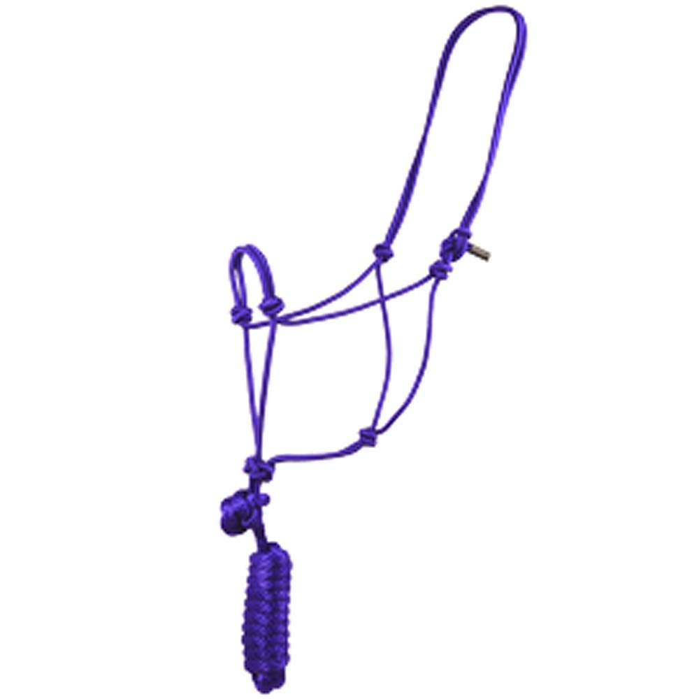 Aime Imports Basic Poly Rope Halter w/Lead Purple