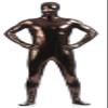 VSVO Unisex Metallic Second Skin Spandex Full Body Suit for Adults and Children (XX-Large, Brown) view 1