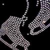 Ice Fire Polartec Figure Skating Jackets with Rhinestones Design (Adult X-Small) view 3