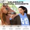 Tstars Horse Hoodie Women Teen Girls Horseshoe Love Equestrian Rider Gray view 4