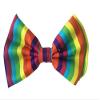 Rainbow Bow Tie (Multicolour) view 1