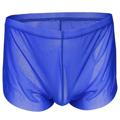 YiZYiF Men's Mesh Boxer Briefs Underwear Transparent Shorts Blue Medium