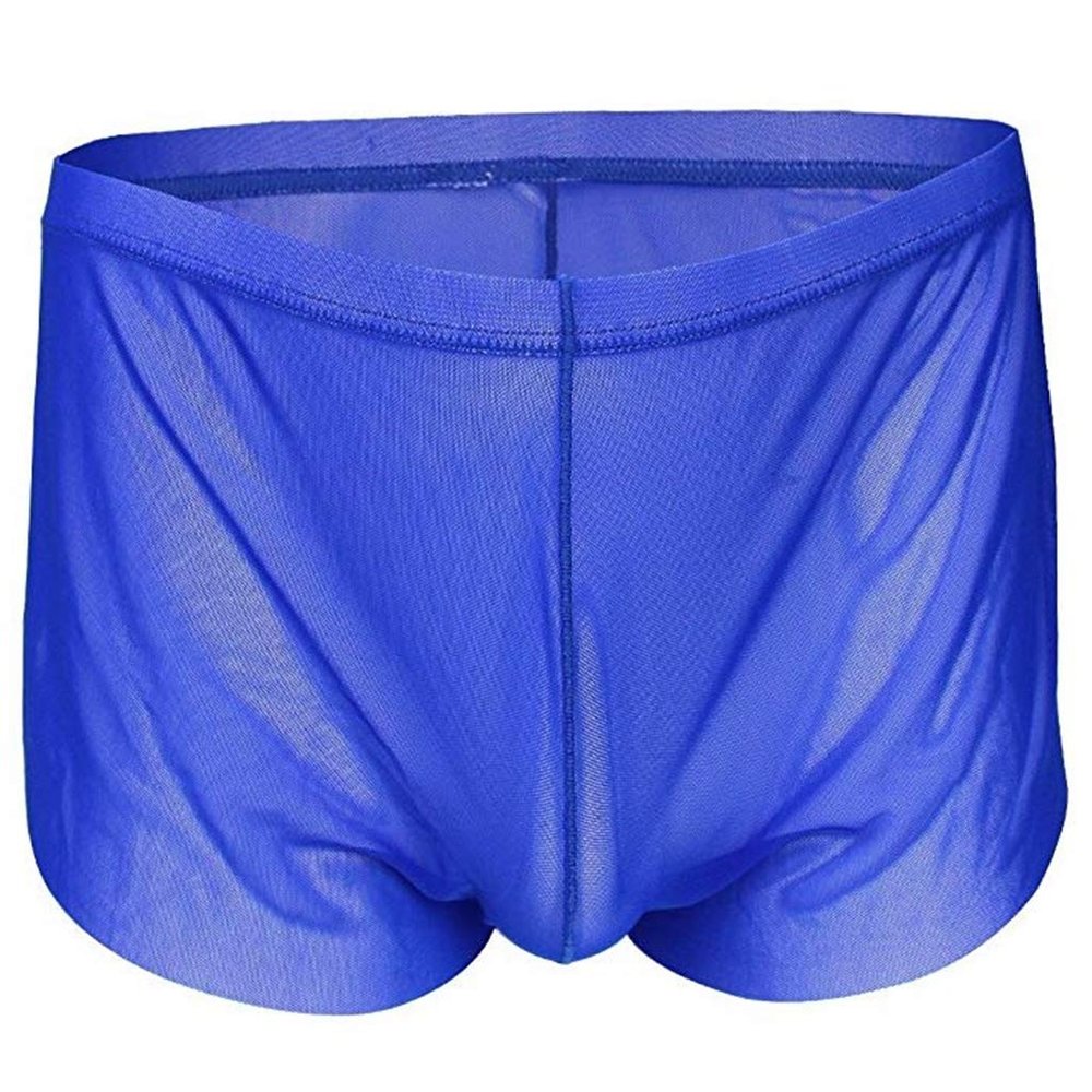 YiZYiF Men's Mesh Boxer Briefs Underwear Transparent Shorts Blue Medium