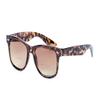 Classic Style Bifocal Reading Sunglasses for Men and Women, Outdoor Sun Readers - Hard Carrying Case Included view 2