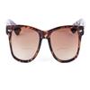 Classic Style Bifocal Reading Sunglasses for Men and Women, Outdoor Sun Readers - Hard Carrying Case Included (Tortoise 3.0) view 1