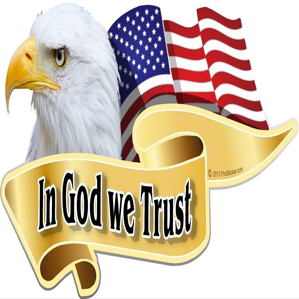 ProSticker 906L10 (Lot of 10) 3" X 6" American Pride Series in God We Trust Bald Eagle Decal Sticker