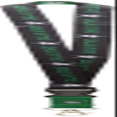 NHL Dallas Stars Lanyard with Detachable Buckle, 1"